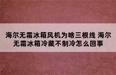 海尔无霜冰箱风机为啥三根线 海尔无霜冰箱冷藏不制冷怎么回事